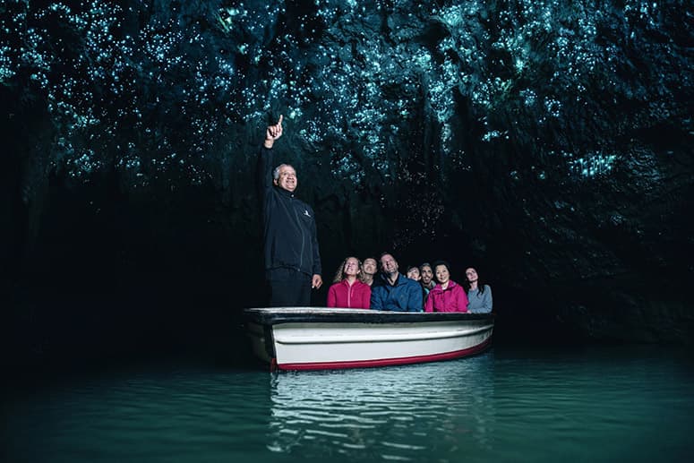 Auckland to Rotorua Tour via Waitomo Caves (One Way)