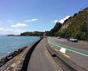 Tamaki Drive