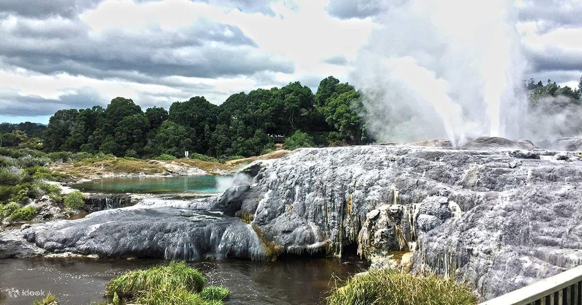 Rotorua Highlights (including Te Puia)