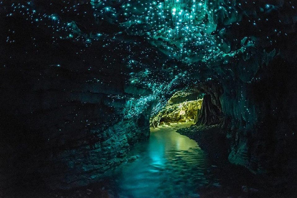 Waitomo Caves & Rotorua Tour (including Te Puia)